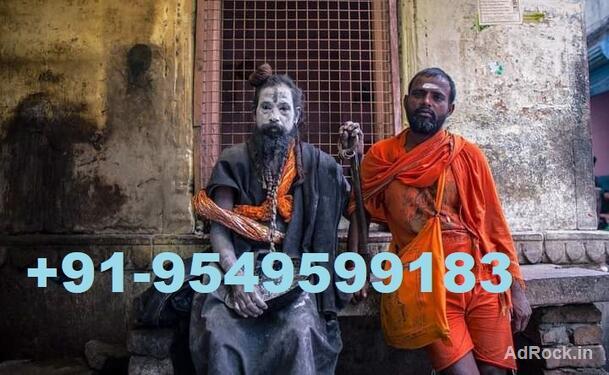 Astrology Consultation For Business Specialties Baba Ji 09549599183