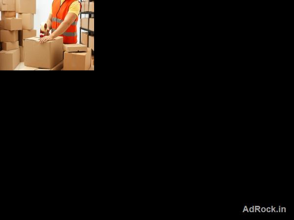Fedex Gurgaon Sector 50 Baani Square
