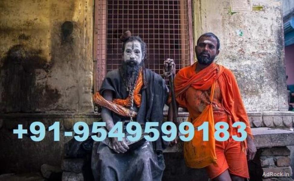 Love Breakup Problem Solution Astrologer Baba ji +91-9549599183