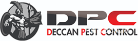 Best Rodent Control Services In Hyderabad Best Rodent Control Services In Hyderabad