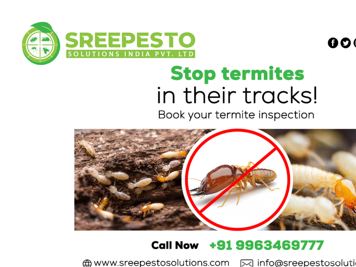 Termite Pest Control Services Ranigunj
