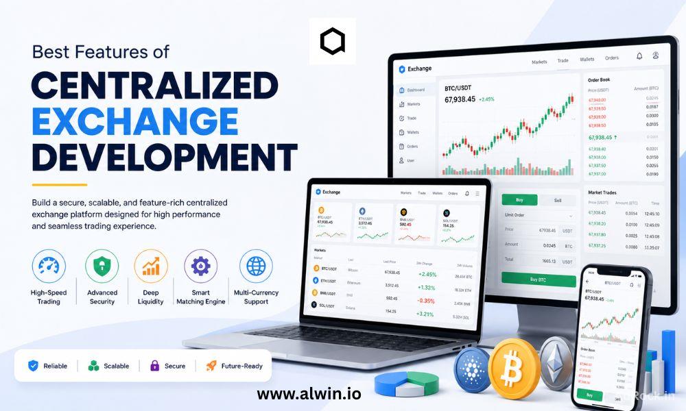 Professional Centralized Exchange Development