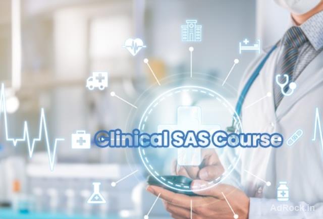 Online SAS Programming Course in Hyderabad