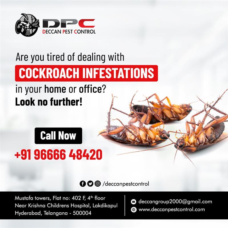 Cockroach Pest Control in Secunderabad