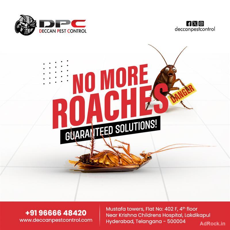 Best Cockroach Control Services in Hyderabad