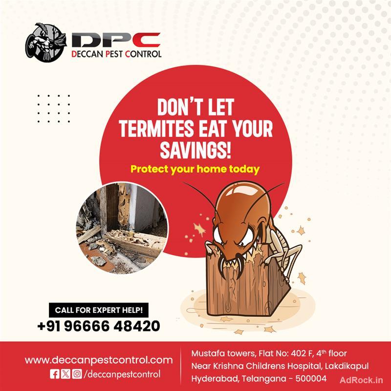 Termite Pest Control Service - Deccan Pest Control