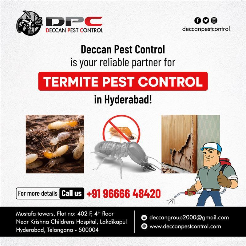 Termite Pest Control - Deccan Pest Control