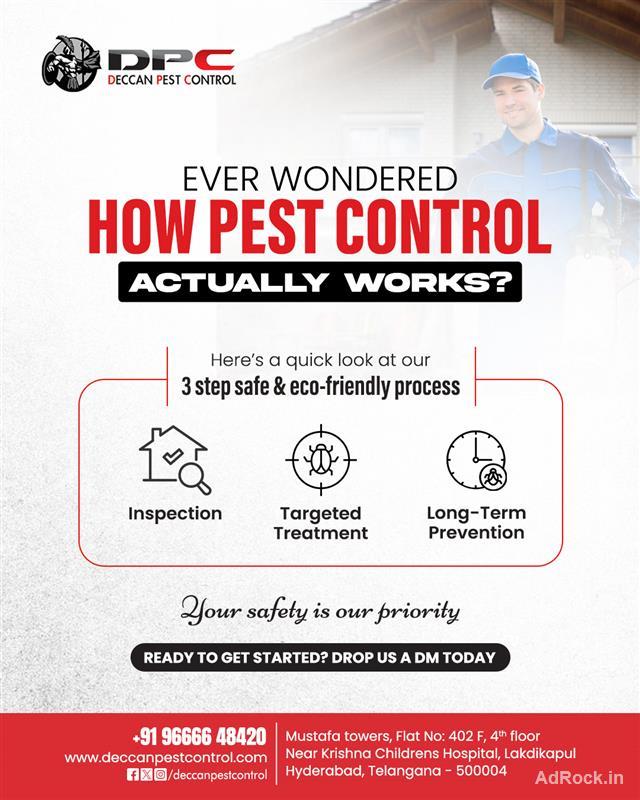 Termite Pest Control in Hyderabad
