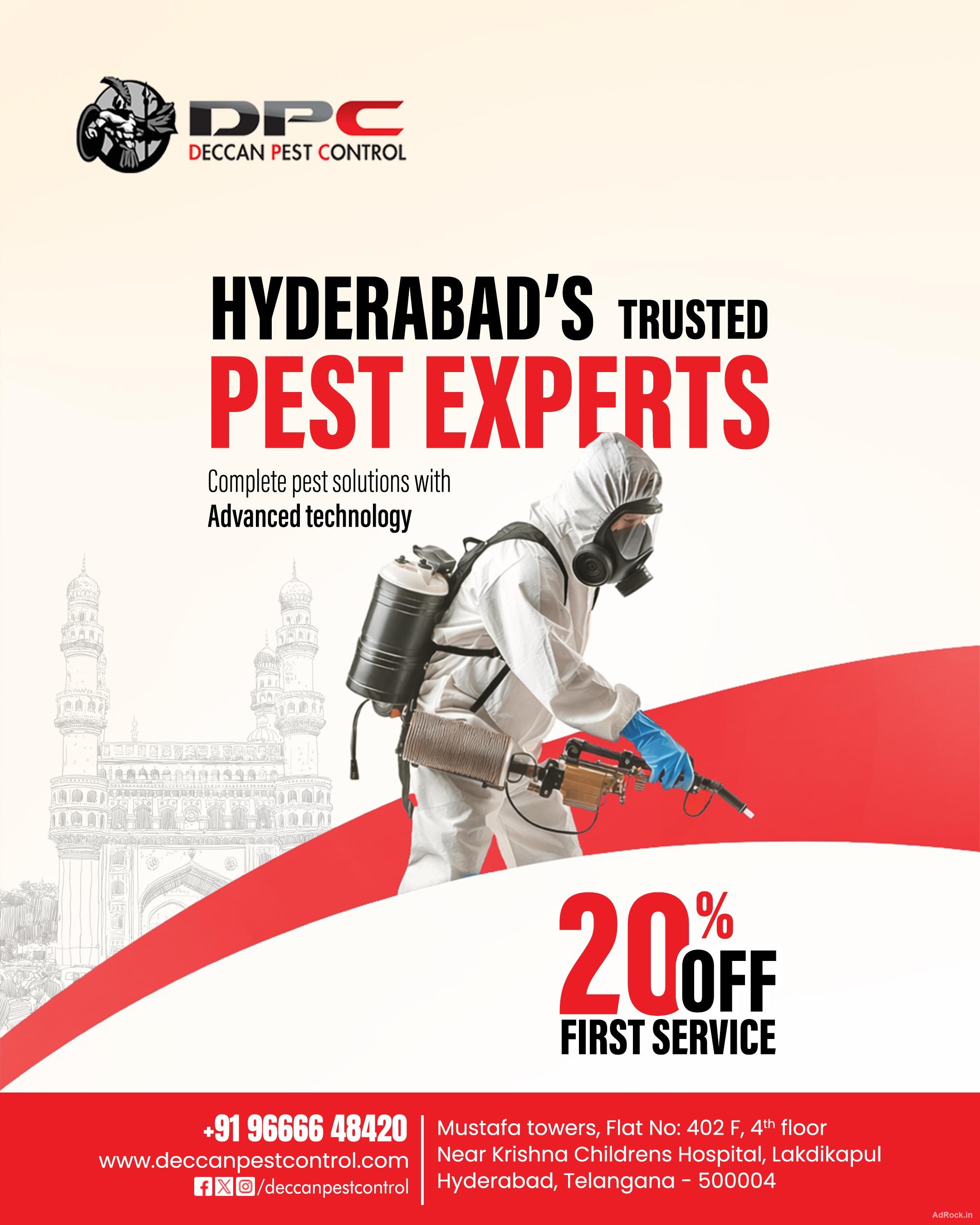 Best Termite Control Services in Hyderabad