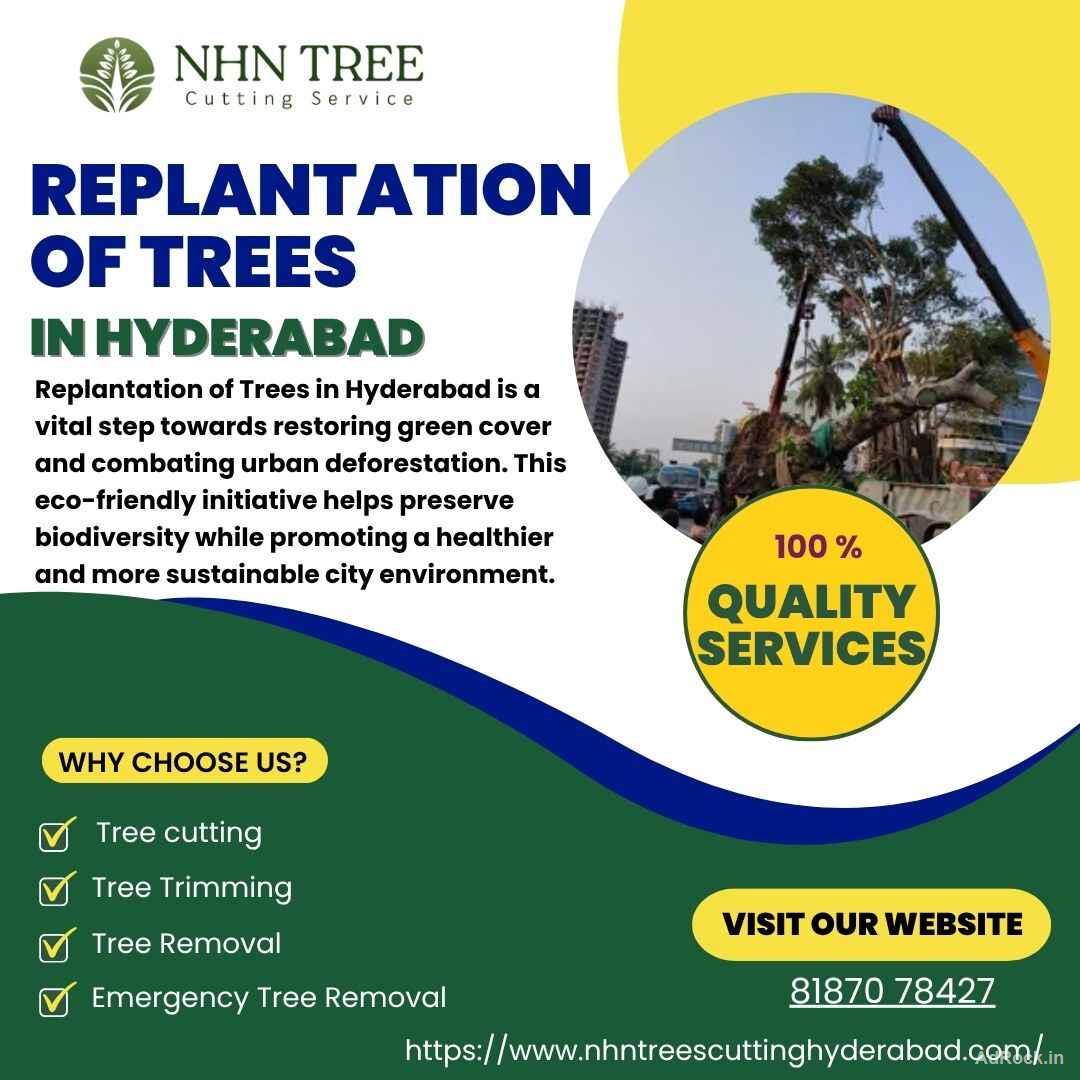 Replantation of Trees in Hyderabad – Saving Trees, Saving Lives