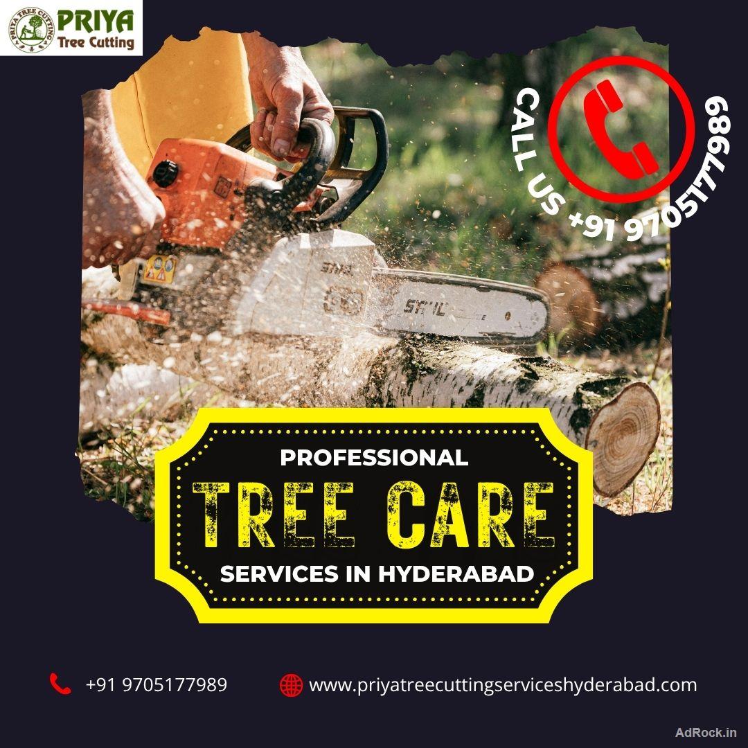 Top Tree Care Services in Hyderabad – Priya Tree Cutting Services