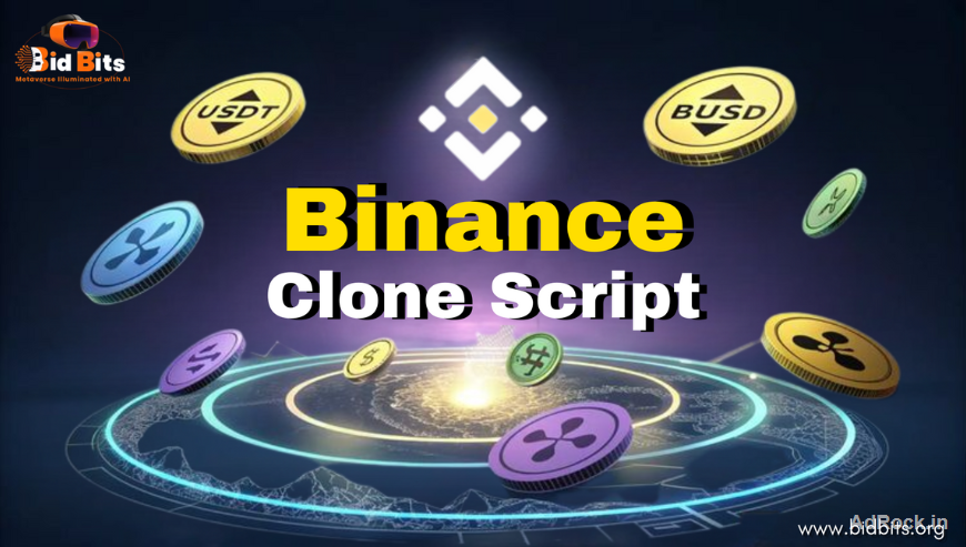 Best Binance clone Script Provider in USA